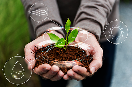 Formation : Mettre en place une culture de champignons - Campus Agronova  (42)