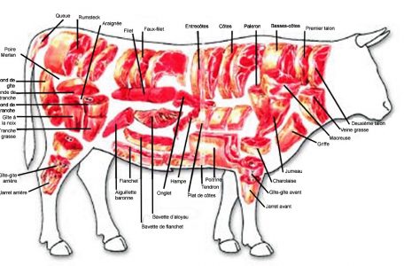 CFPPA Montbrison - Découpe viande bovine