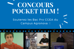 Concours Pocket Film 2023